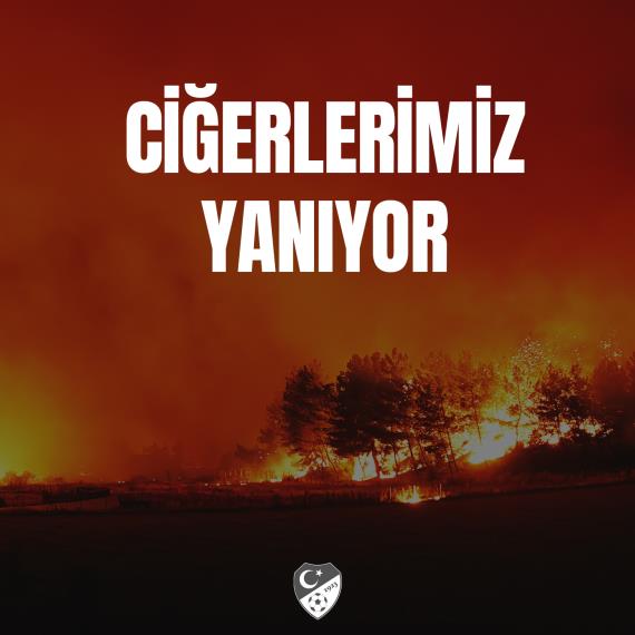 Orjinal boyutları için tıklayınız