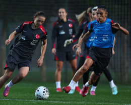 Kadn A Mill Takmmz, Arnavutluk Mana Hazr