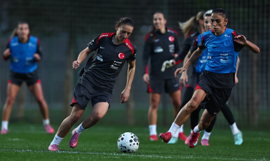 Kadn A Mill Takmmz, Arnavutluk Mana Hazr