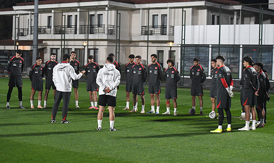 mit Mill Takmmz, Ukrayna ve Litvanya Malarnn Hazrlklarna Balad