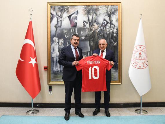 Orjinal boyutlar iin tklaynz