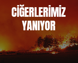 Gemi Olsun Trkiye