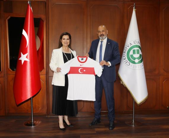 Orjinal boyutlar iin tklaynz