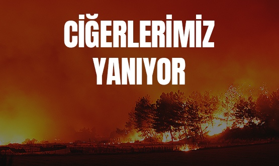 Gemi Olsun Trkiye