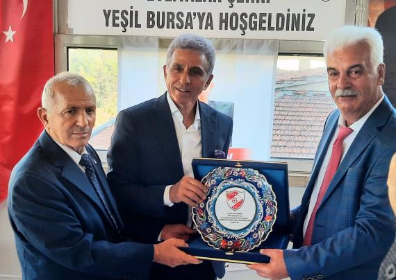 Orjinal boyutlar iin tklaynz