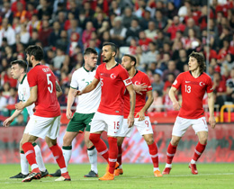 Turkey beat Republic of Ireland: 1-0