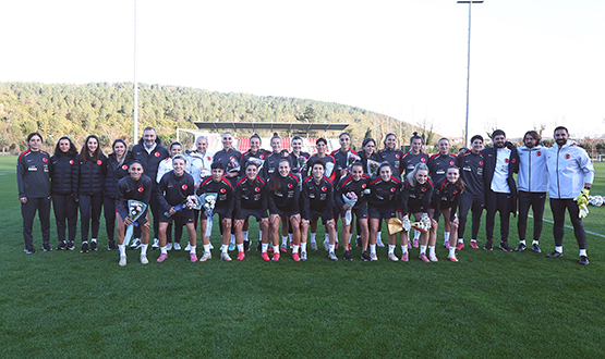 Kadn A Mill Takmmz, Arnavutluk Malarnn Hazrlklarna Balad