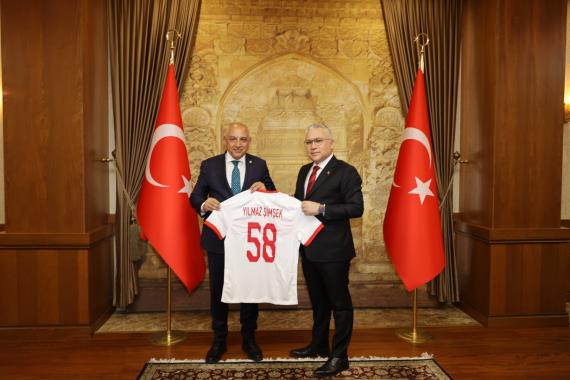 Orjinal boyutlar iin tklaynz