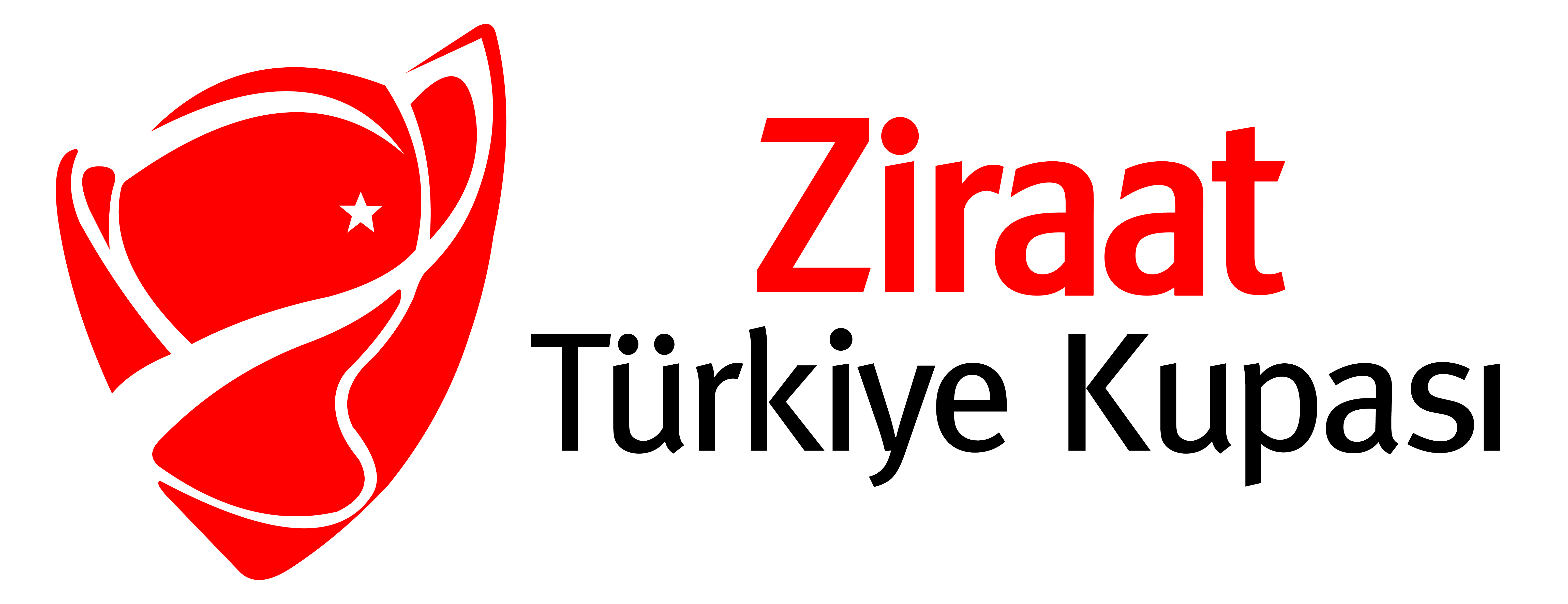 tff logo kullanimlari lig logolari tff