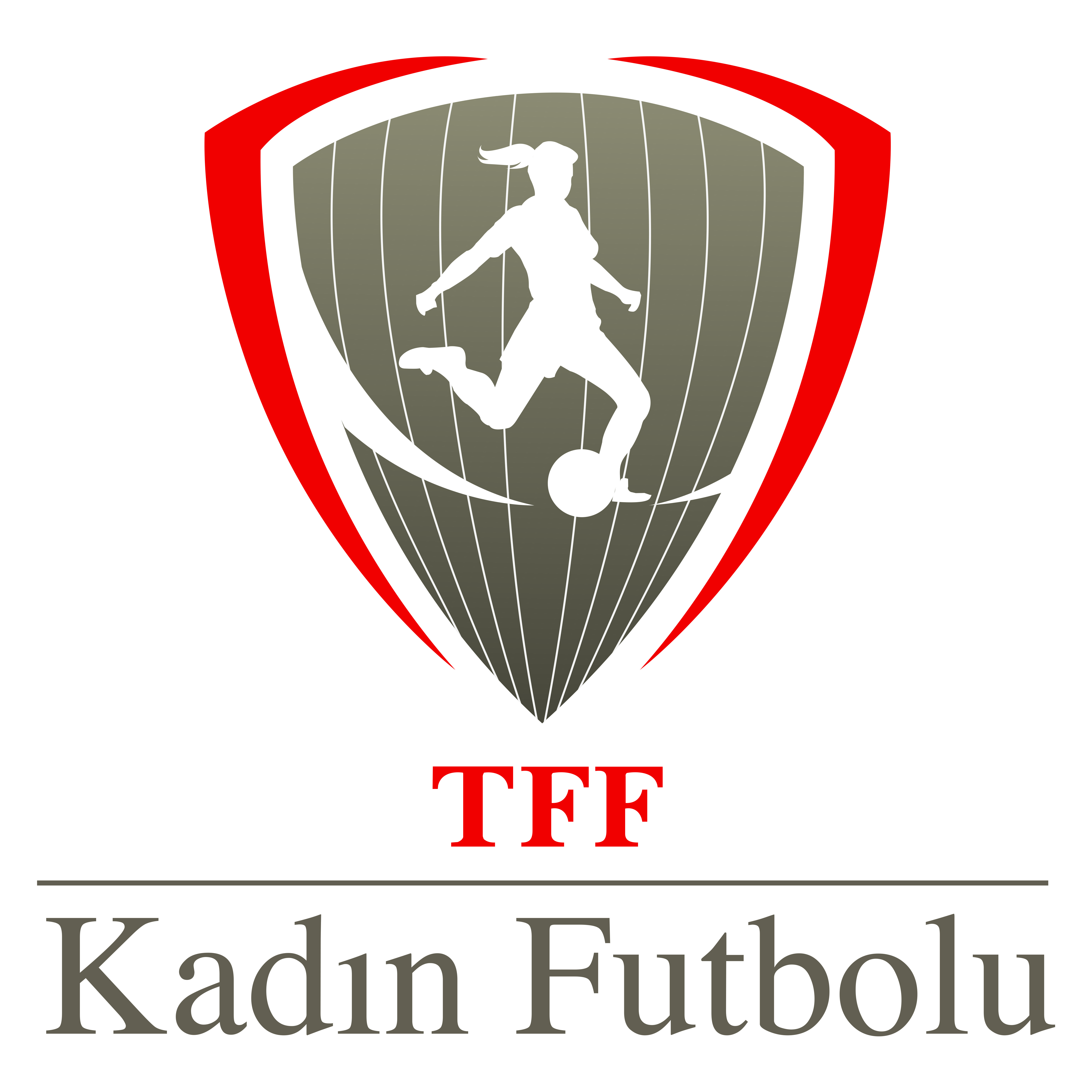 Tff Logo Kullanimlari Lig Logolari Tff