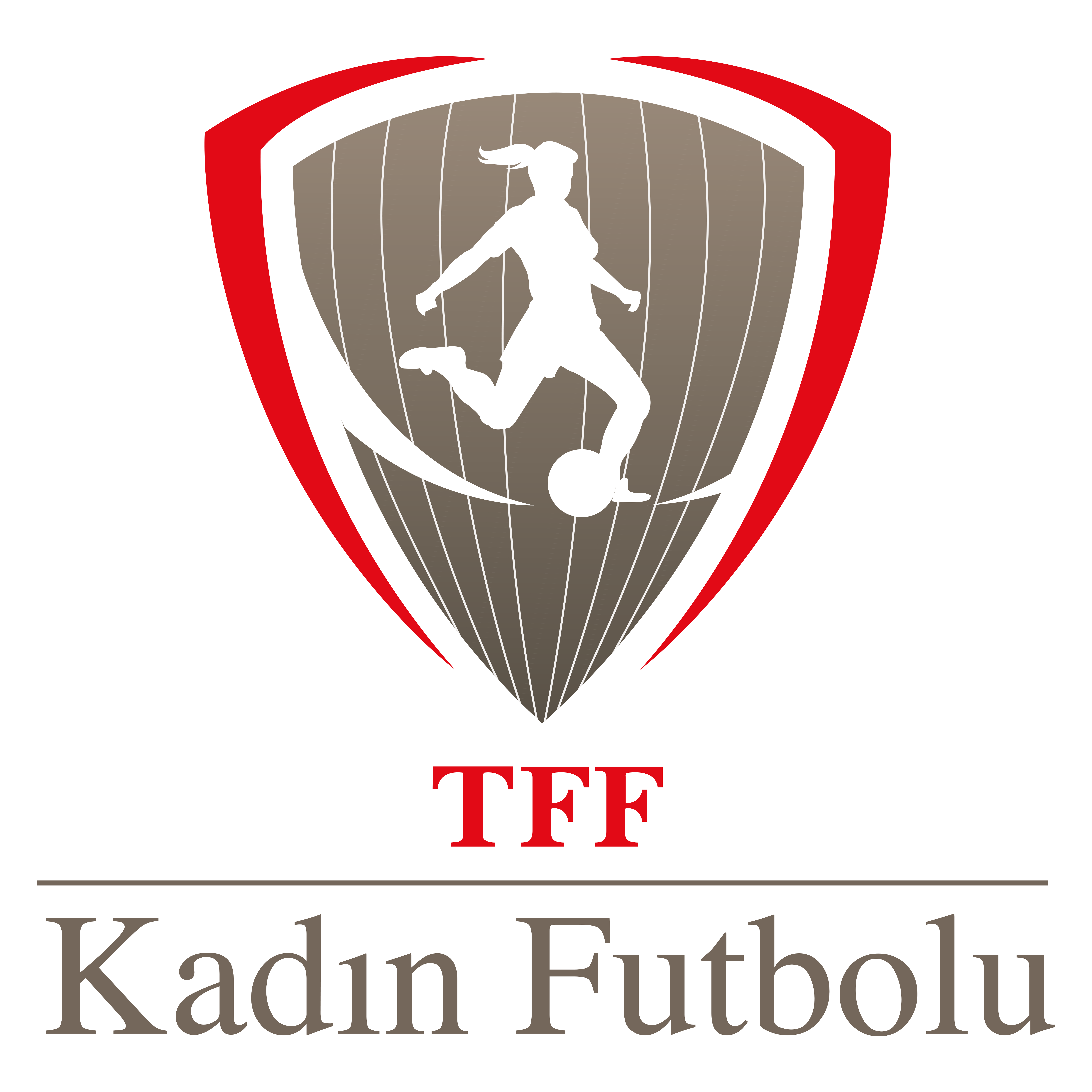 Tff Logo Kullanimlari Lig Logolari Tff
