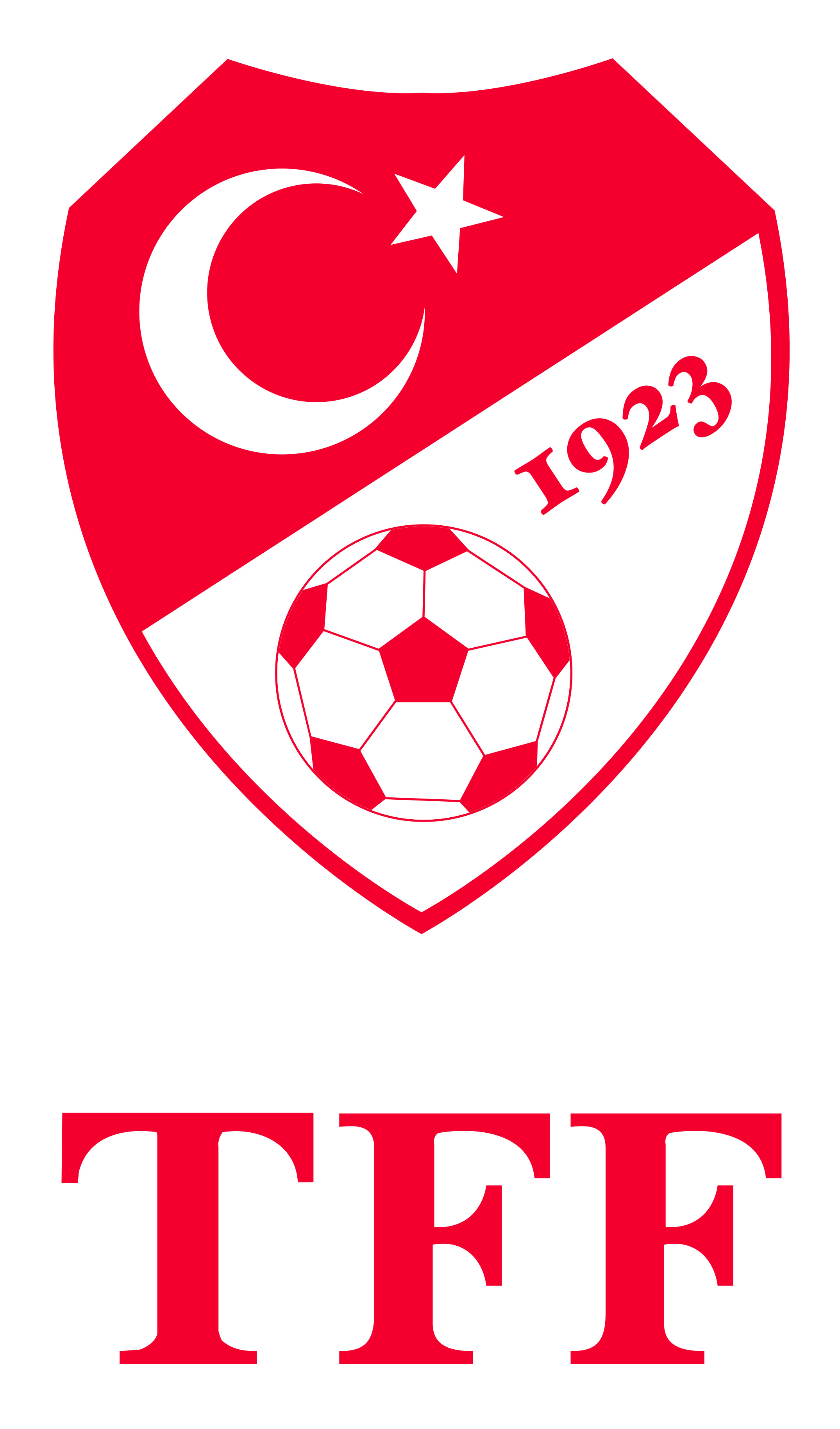 tff logo kullanimlari lig logolari tff
