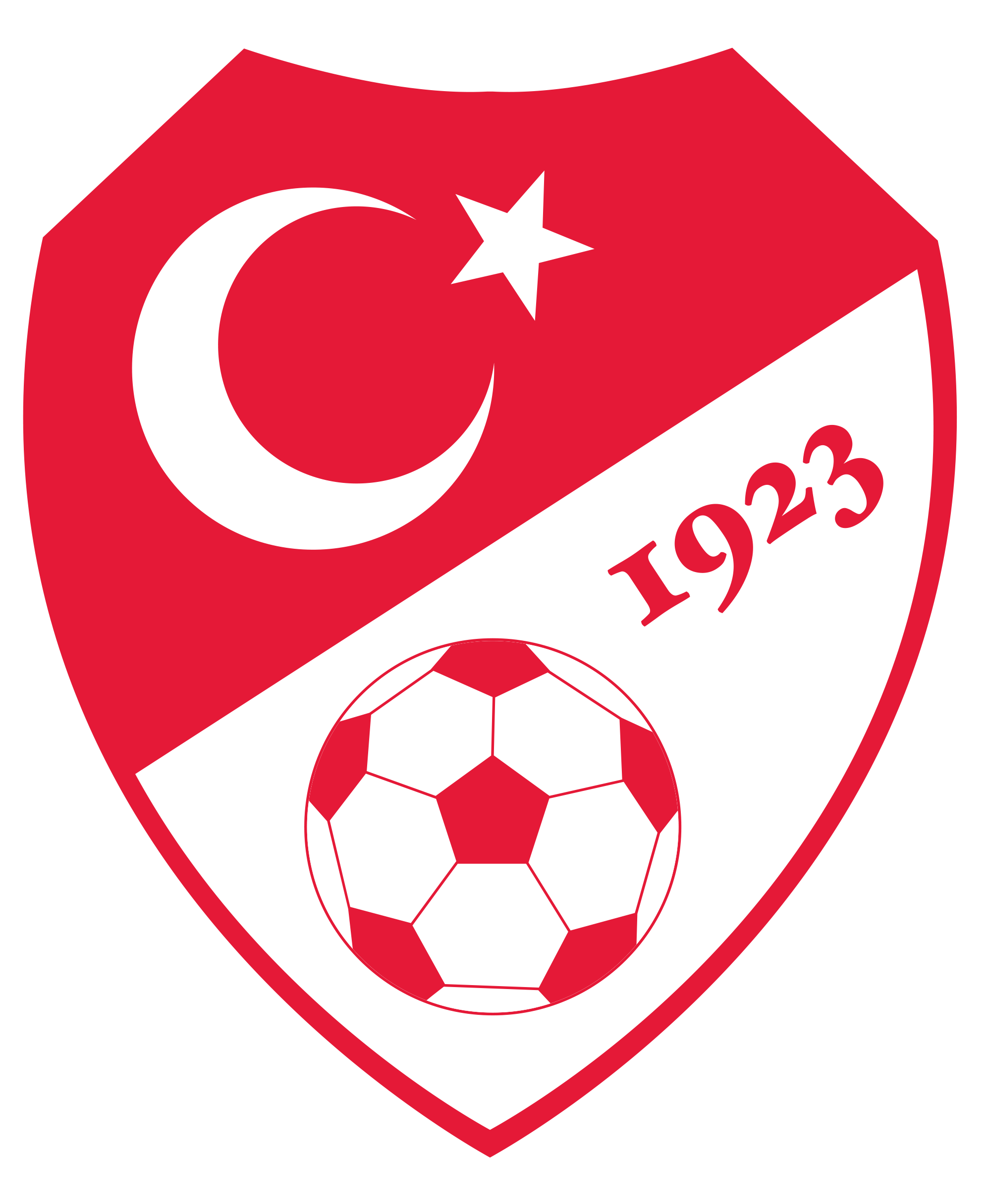 tff logo kullanimlari lig logolari tff